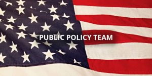 Public Policy Team