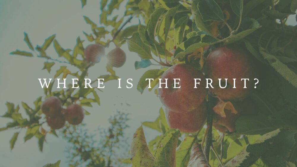Where\'s The Fruit?